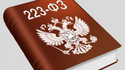 фас России разъяснила порядок ведения РНП по Закону № 223-ФЗ в условиях санкций - фото - 1